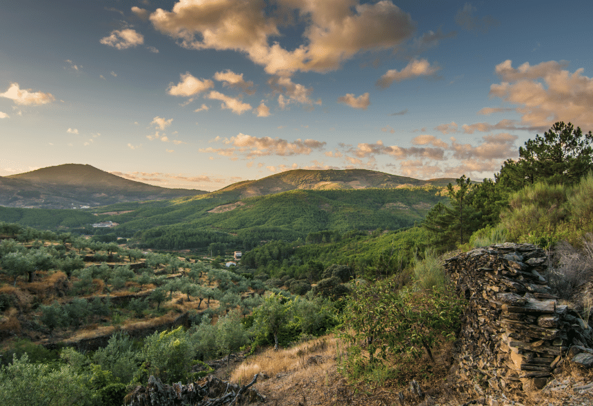 Progetto senza titolo (61)