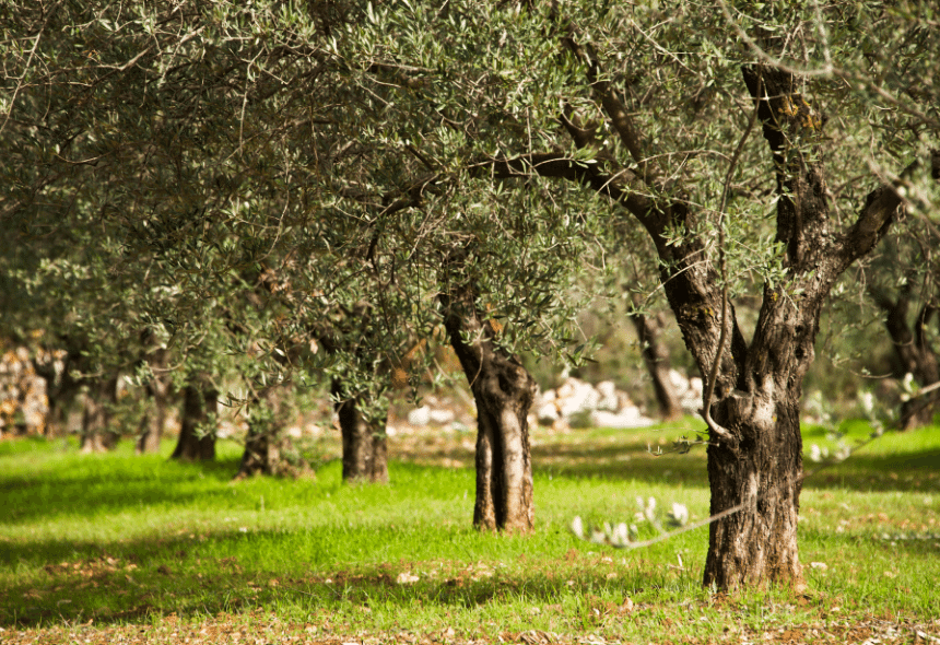 Progetto senza titolo (62)