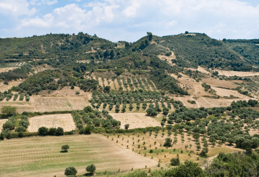 Progetto senza titolo (63)