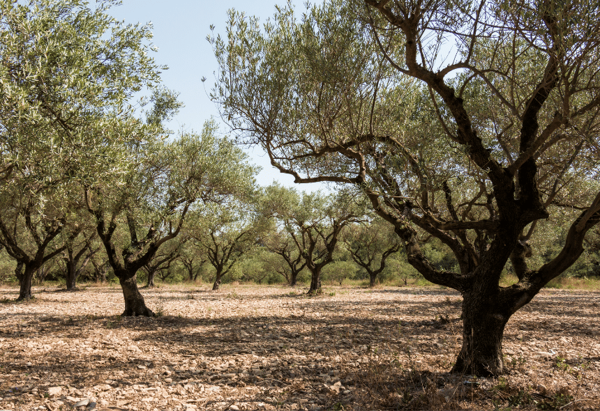 Progetto senza titolo (64)