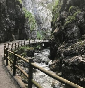 Intervista a Gabriella